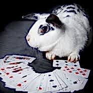 Фотограф: Илья Моисеев. Модель: Люба. Алматы 2010 Фотограф: Илья Моисеев. Модель: Люба. Алматы 2010